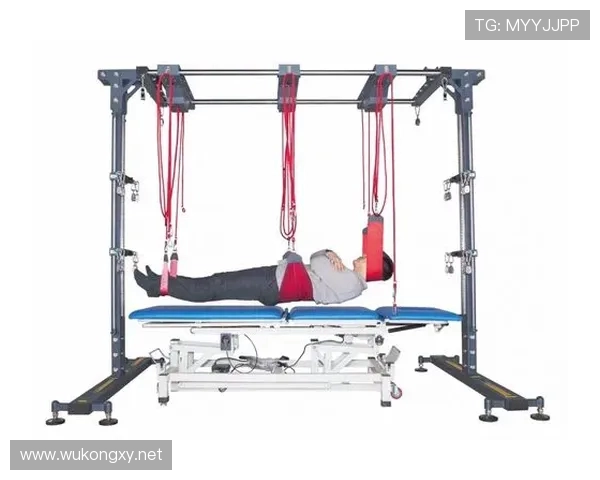 健身器材分类与不同功能用途的详尽对比