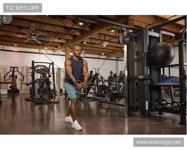 两站位组合健身器材全面解析与锻炼搭配技巧