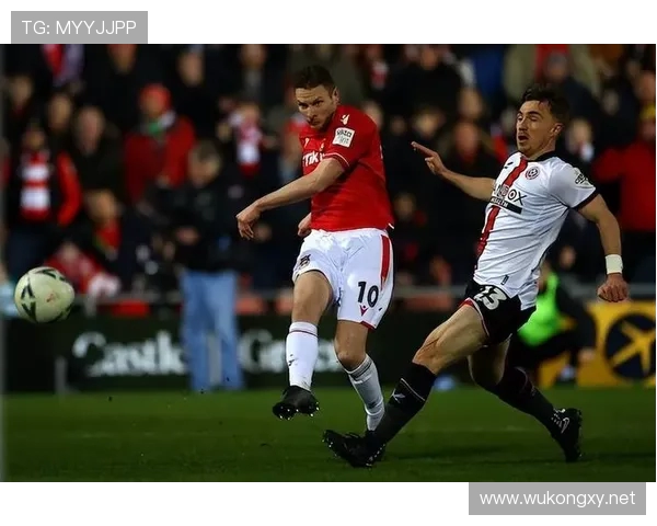 英超未降级球队年度表现谁领风骚