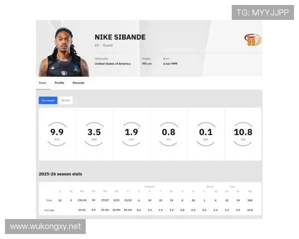 德甲中游球队实力分布与竞争态势分析