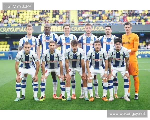 西甲联赛球队简称与球队身份的辨识和分类